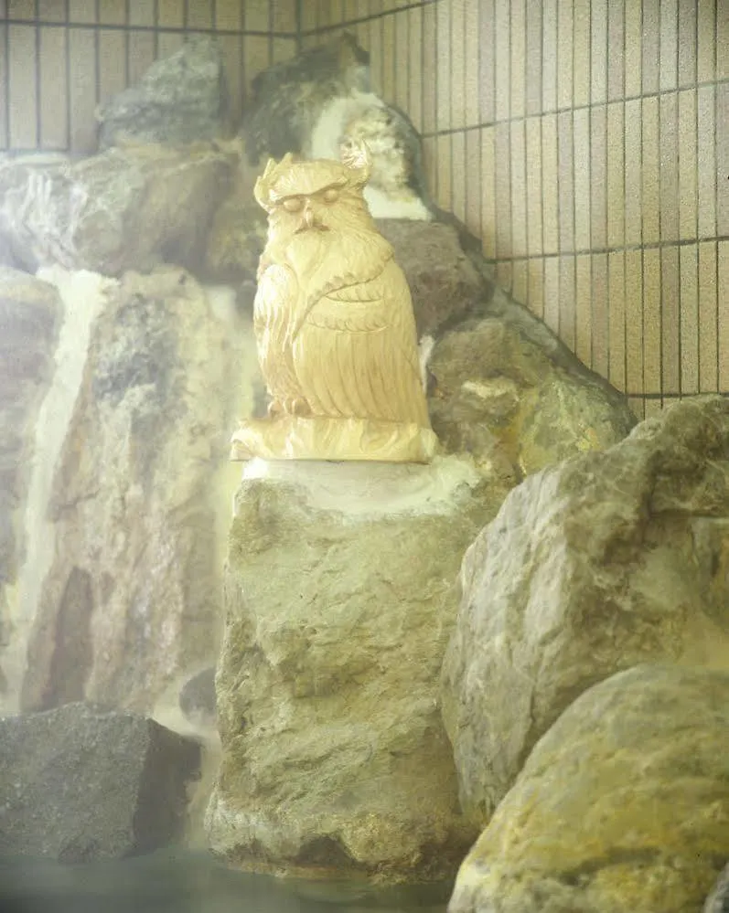 Meito No Mori Hotel Kitafukuro Teshikaga Japon